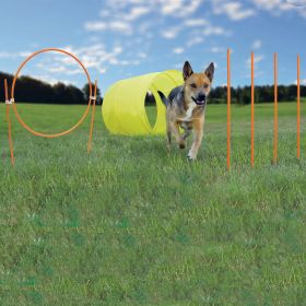 Dog Agility Starter Kit Outdoor